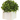 Whimsy Lifelike Plant in Rustic Wooden Pot
